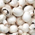 What Features should High-Quality Mushroom farm Equipment Have?