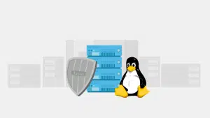 Linux VPS Usage Options