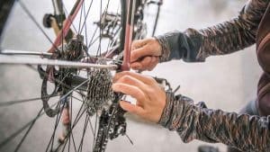 Bike Maintenance 101 Essential Tips for Keeping Your Bicycle in Top Shape