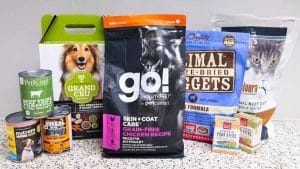 From Kibble to Raw A Guide to Different Types of Dog Food