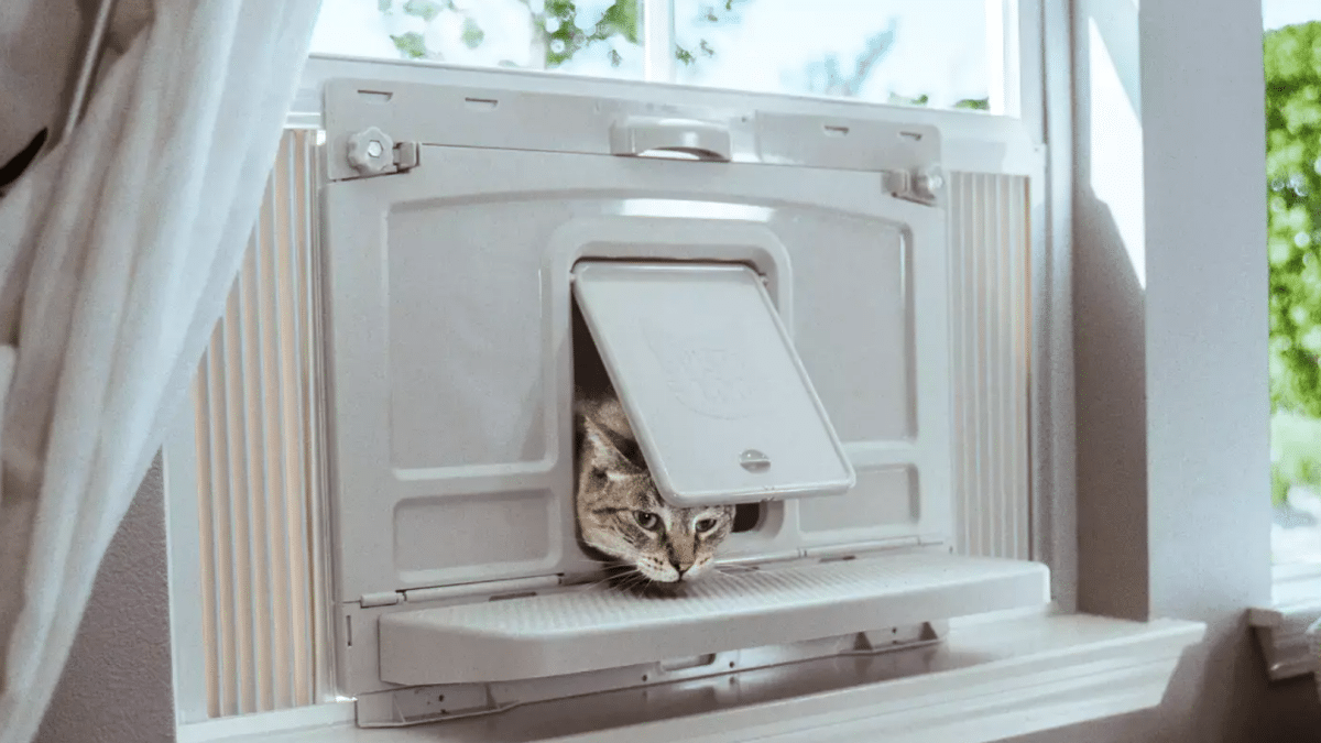 Cat Window Boxes Bringing the Outdoors Safely Indoors