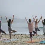 Holistic Approaches to Mental Wellness