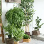 How to Start a Small Garden in a Condo