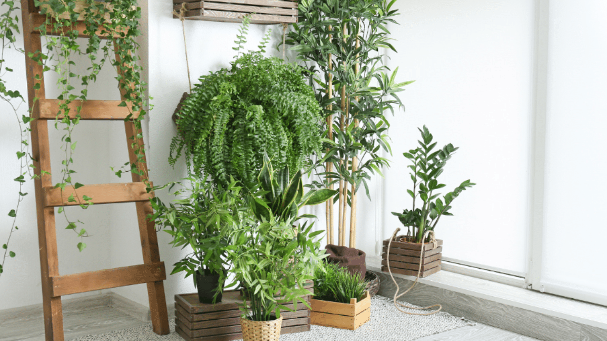 How to Start a Small Garden in a Condo