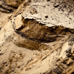 3 Factors that Highlight Why Permeability Testing is Essential for Your First Build
