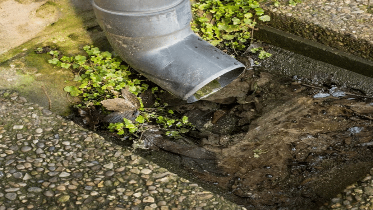 3 Simple Tips to Get Your Outdoor Drain Unblocked