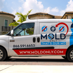 Image 1 of Mold Only: Redefining Mold Remediation in South Florida with Modern Eco-Friendly Solutions