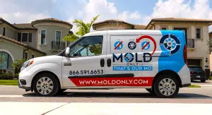 Image 1 of Mold Only: Redefining Mold Remediation in South Florida with Modern Eco-Friendly Solutions