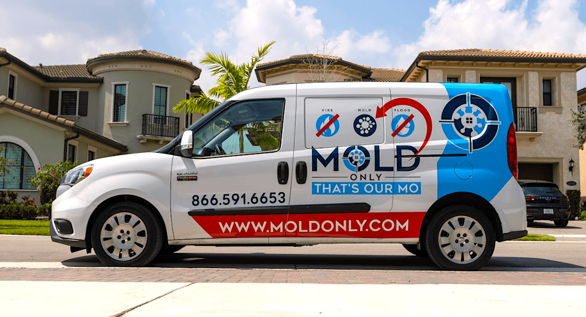 Image 1 of Mold Only: Redefining Mold Remediation in South Florida with Modern Eco-Friendly Solutions