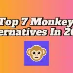 Image 1 of Top Monkey Alternatives To Try In 2026