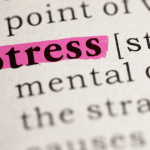 Image 1 of From Training Grounds to Home Life: Managing Stress Transitions