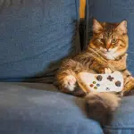 gaming