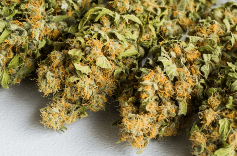 Image 1 of Why People Use White Nerds Strain For Relaxation And Self-Care