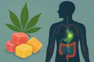 CBD gummies on a table with supplement bottle, illustrating CBD’s effects in the body